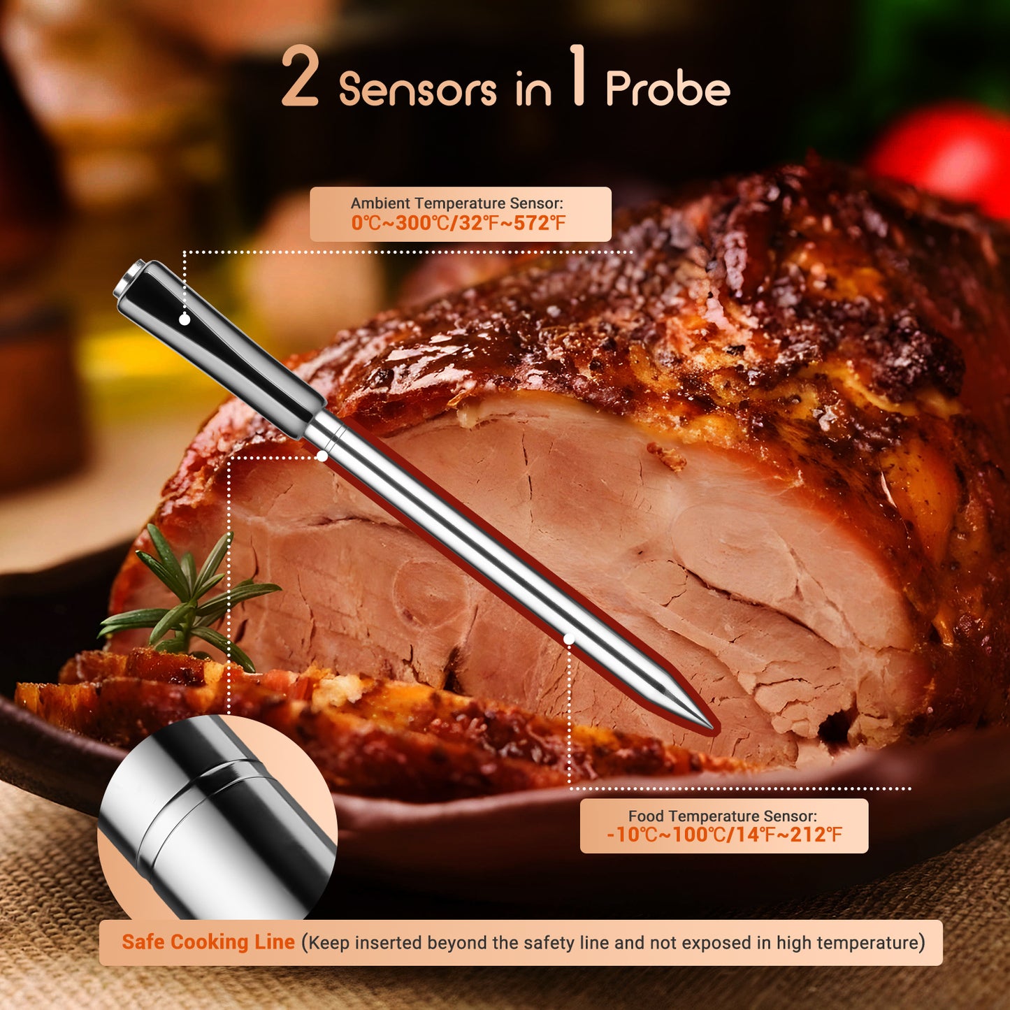 CharMeter Bluetooth Meat Thermometer