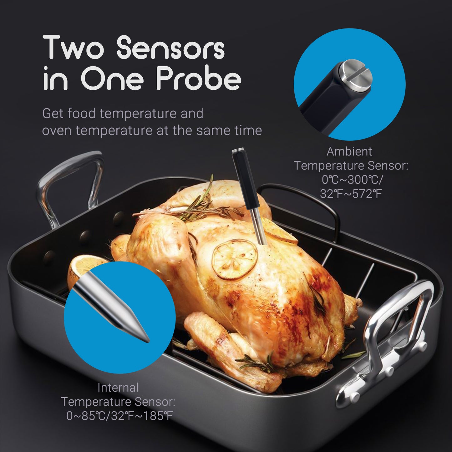 TEMPWISE MEAT THERMOMETER Truly Wire-free BBQ Thermometer, Bluetooth 5.0 Meat Thermometer for Oven, Smoker, Grill, Sous Vide, IP67 Waterproof, APP Control