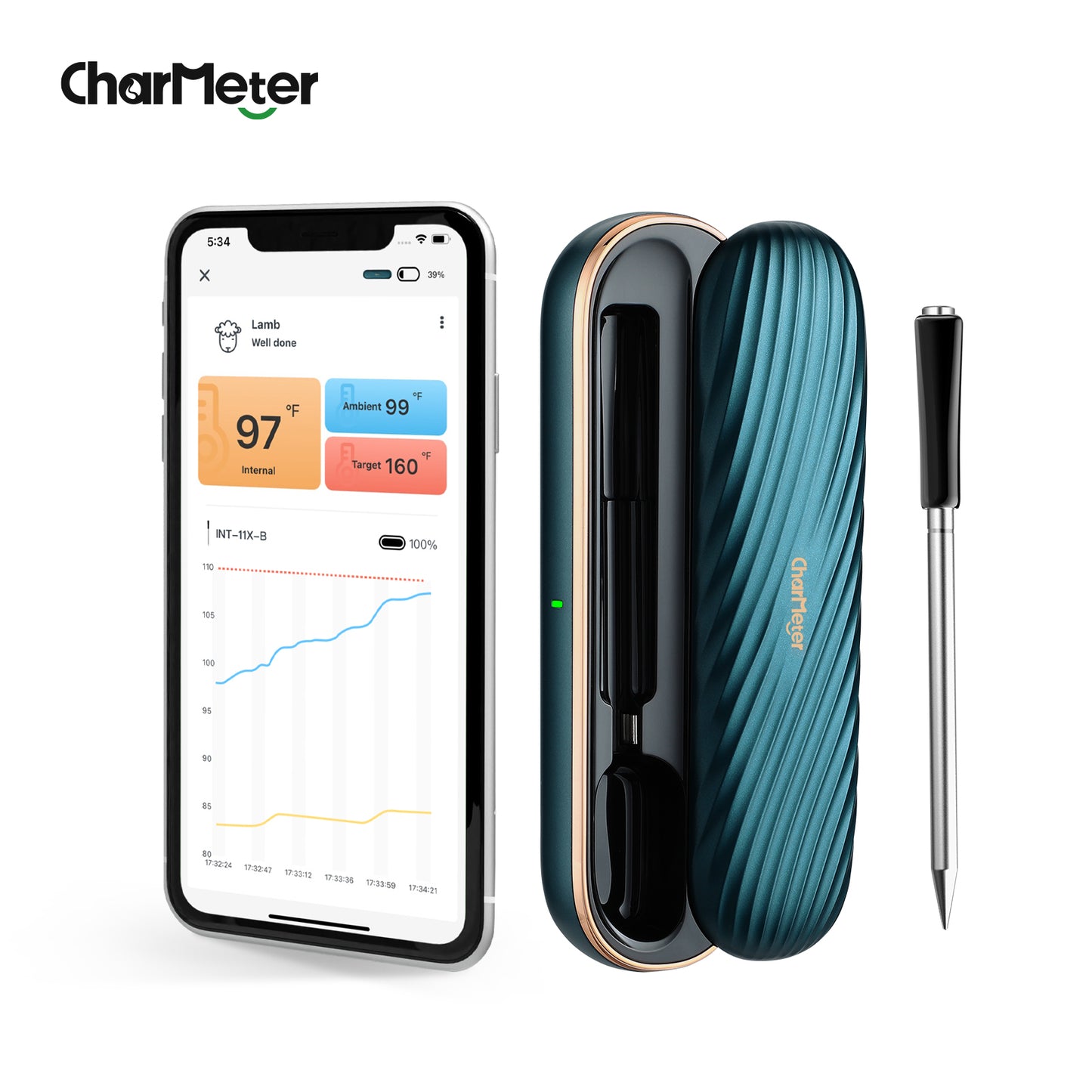CharMeter Bluetooth Meat Thermometer